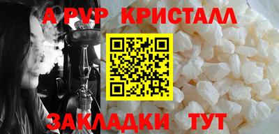крисы Гай