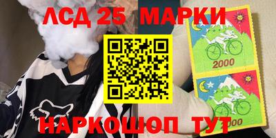 крисы Гай